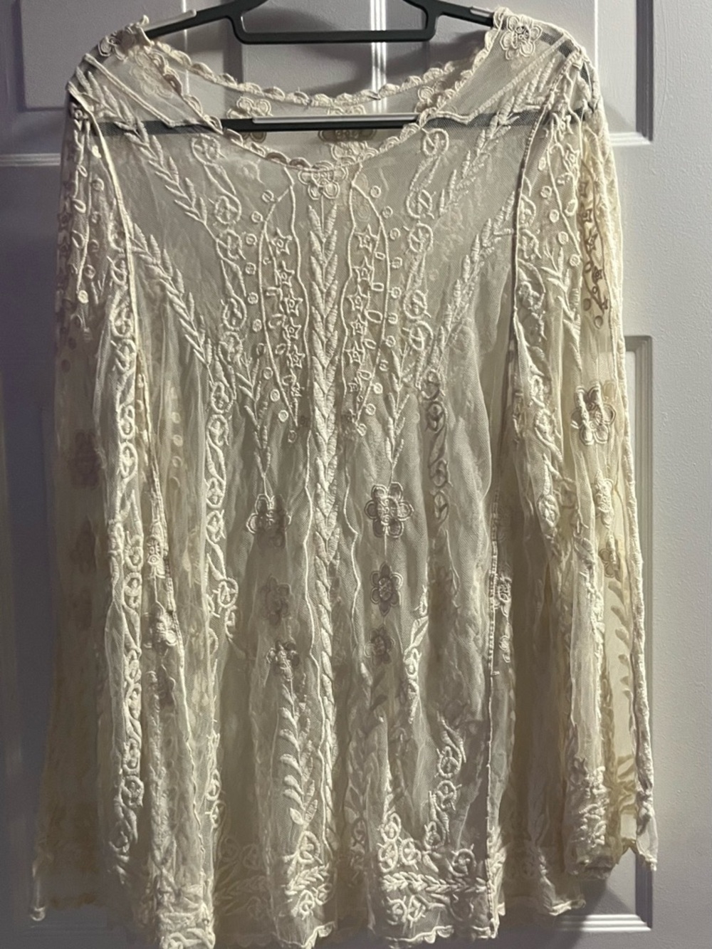 Women's Cream Embroidered Sheer Blouse